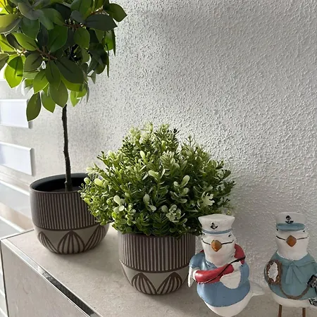 아파트 Ostseemoewe Neu 징스트